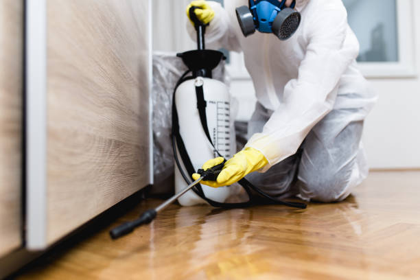 Reliable Heyworth, IL Pest Control Solutions
