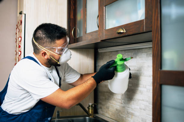 Best Best Pest Control Companies  in Heyworth, IL
