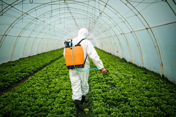 Best Affordable Exterminators  in Heyworth, IL