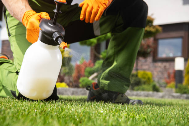 Best Pest Prevention Services  in Heyworth, IL