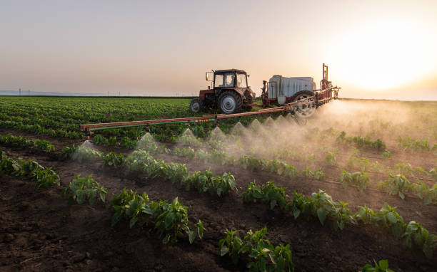 Best Wildlife Control Services  in Heyworth, IL