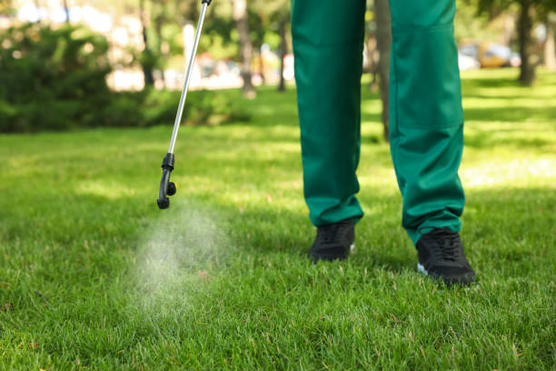 Best Cockroach Control Services  in Heyworth, IL