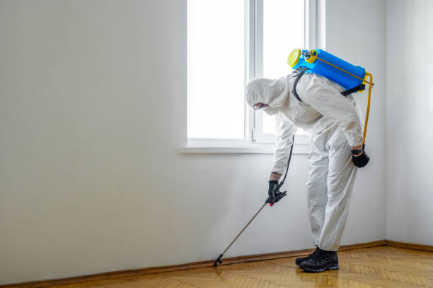 Best Pest Control Near Me  in Heyworth, IL