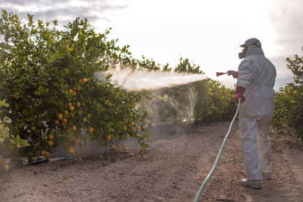  Heyworth, IL Pest Control Pros