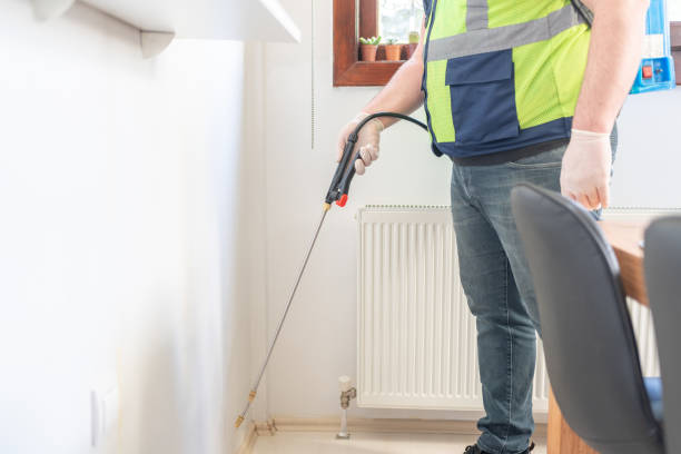 Best Rat Extermination Near Me  in Heyworth, IL