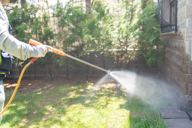 Best Local Pest Control Services  in Heyworth, IL
