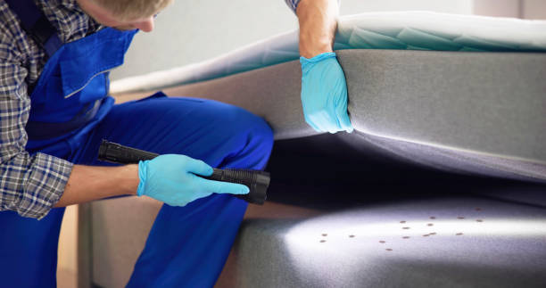 Best Exterminator Services  in Heyworth, IL