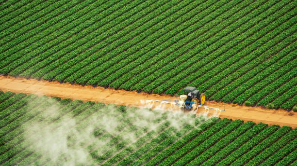 Best Pest Control for Homes  in Heyworth, IL