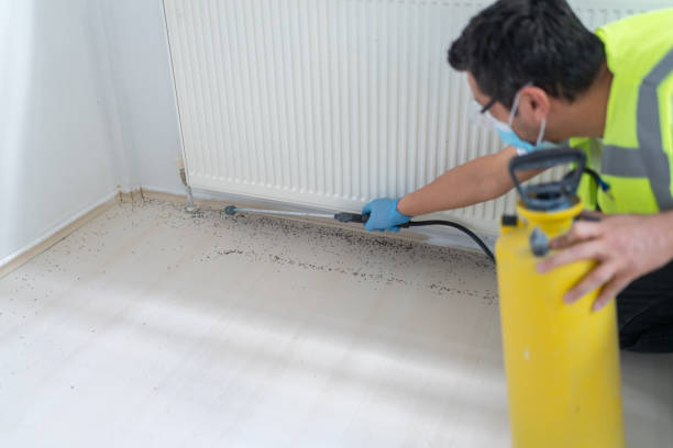 Best Commercial Pest Control Services  in Heyworth, IL
