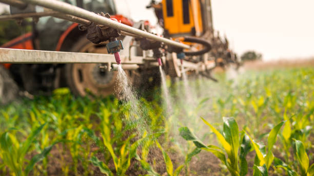 Best Ant Control Services  in Heyworth, IL