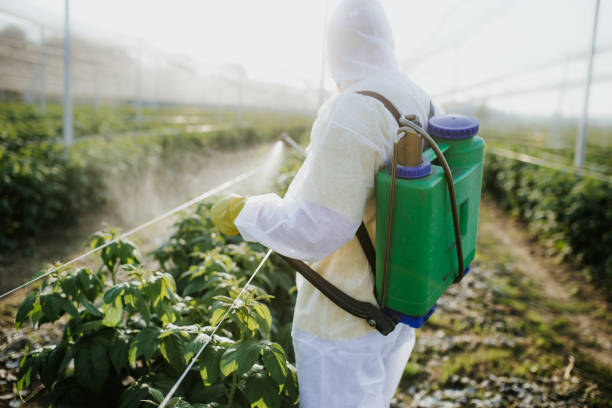 Best Bed Bug Extermination  in Heyworth, IL